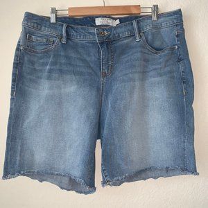 TORRID | Denim Jean Shorts Womens Plus Size 20